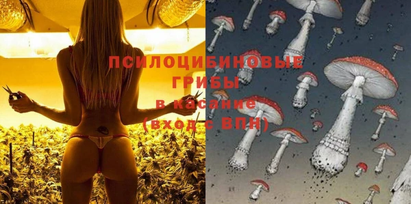 Альфа ПВП Богданович