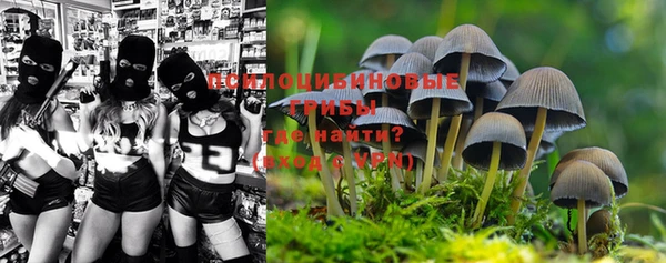 ALPHA-PVP Богородск