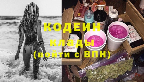 прущие грибы Аркадак